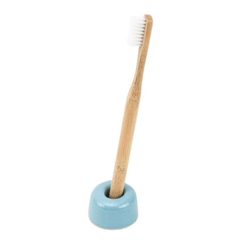 Hydrophil blue toothbrush holder