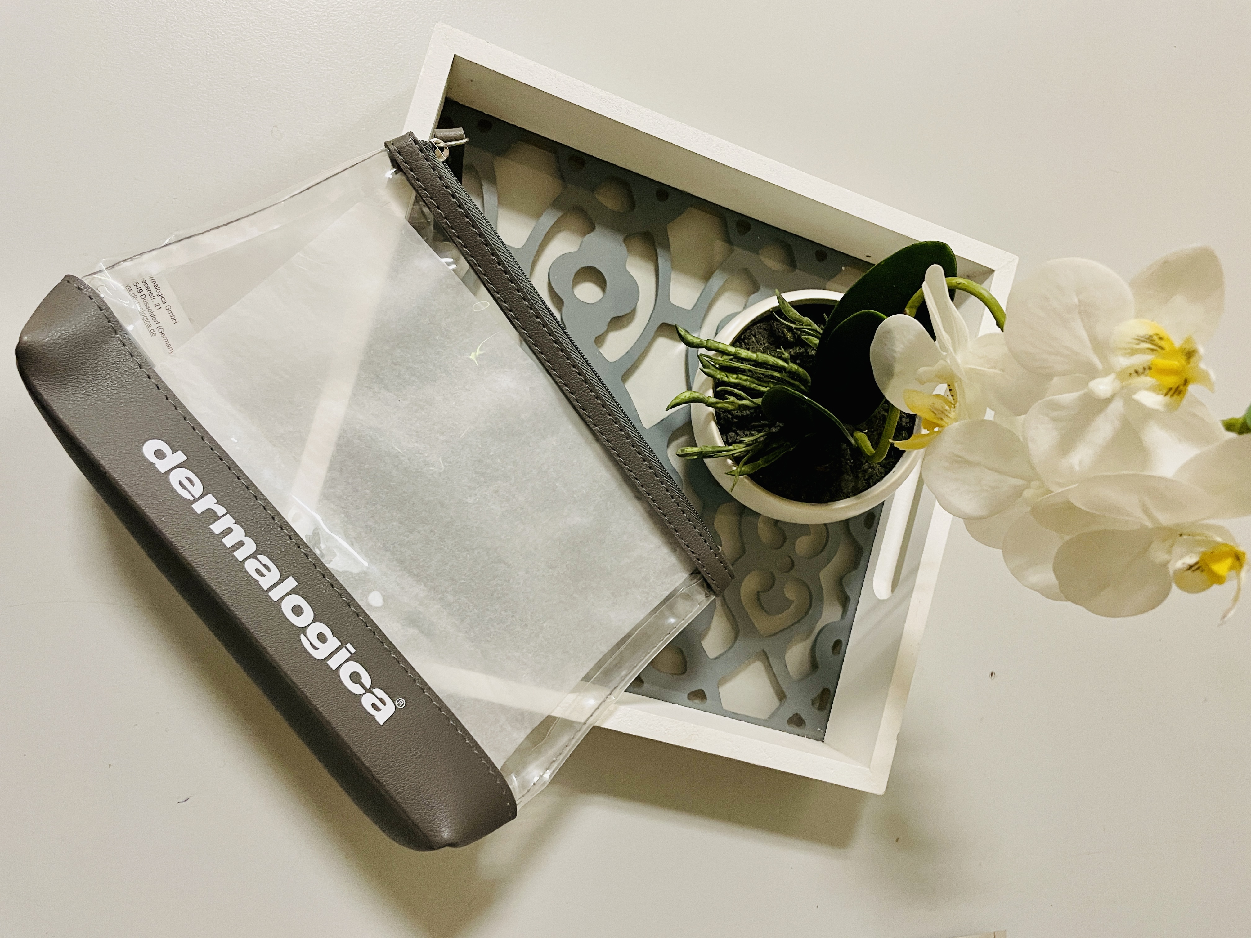 Dermalogica Travel Bag Clear
