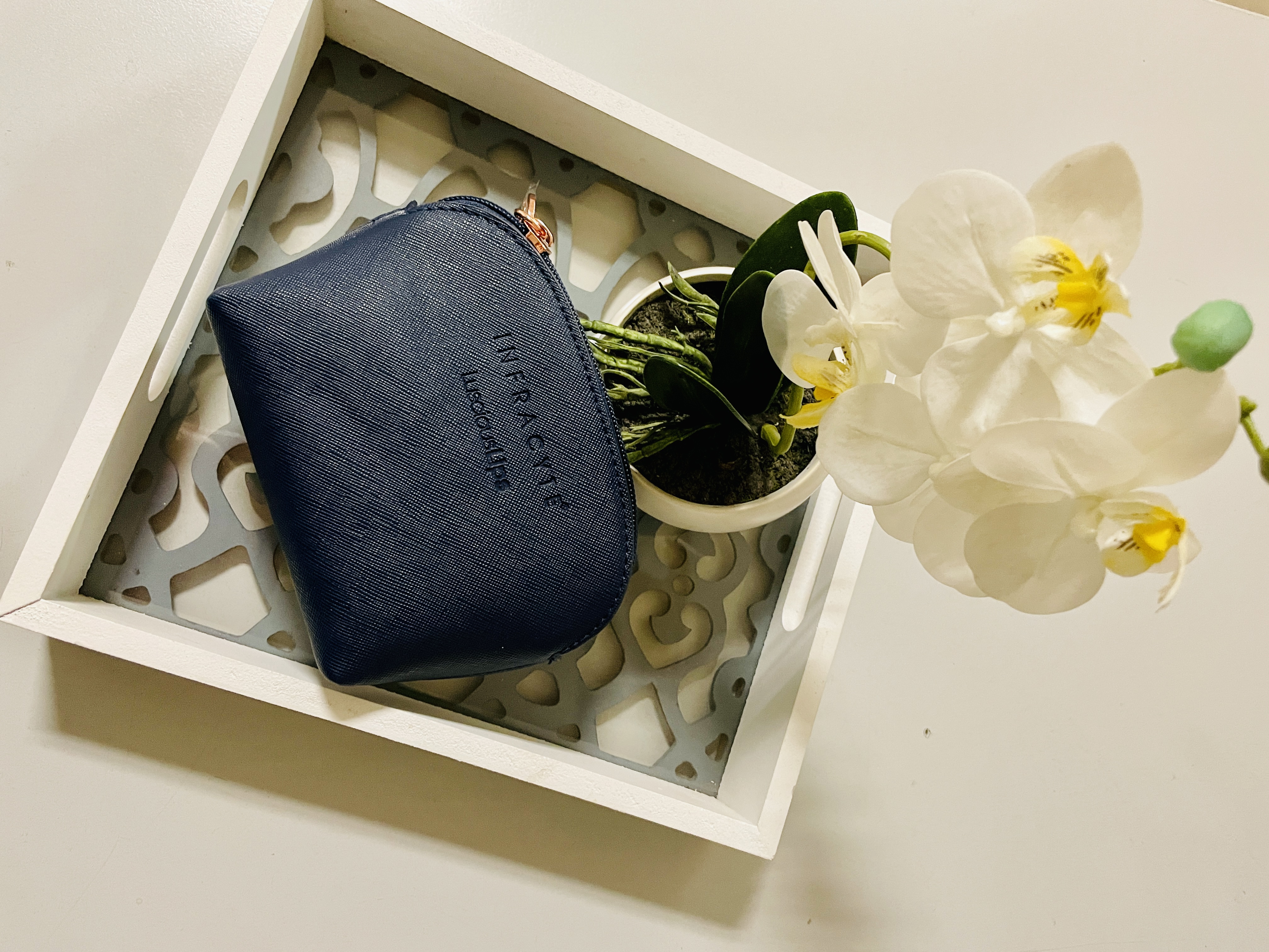 Luscious Lips Beauty Bag