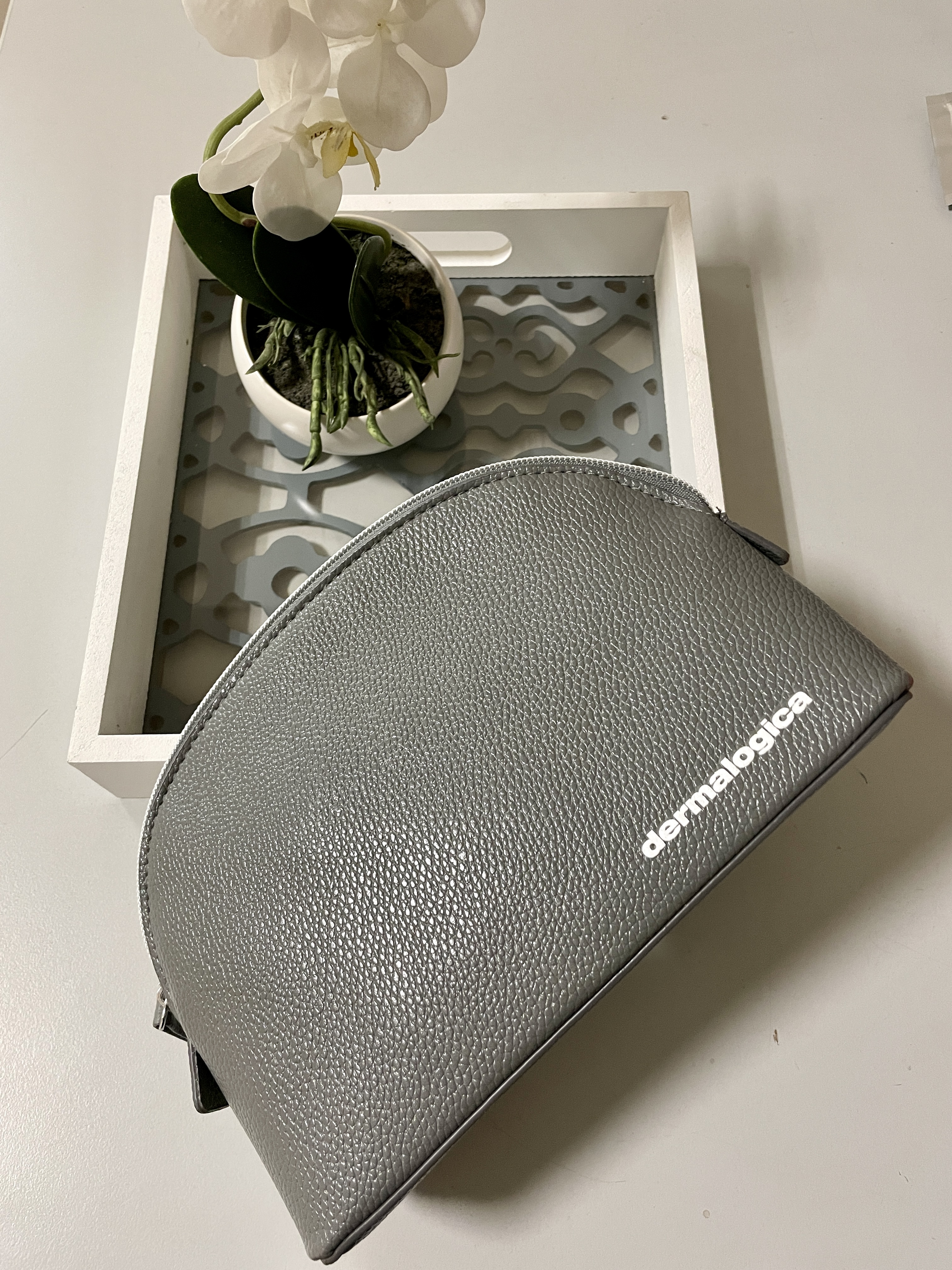 Dermalogica Beauty Bag gray