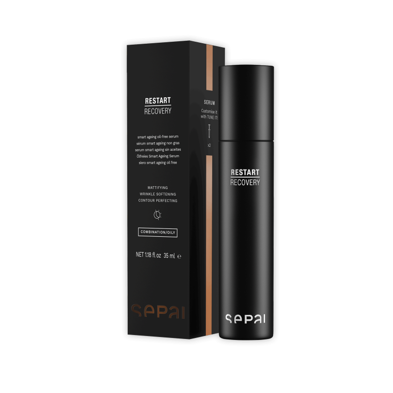 SEPAI RESTART RECOVERY